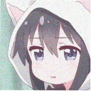 用户老猴迷头像